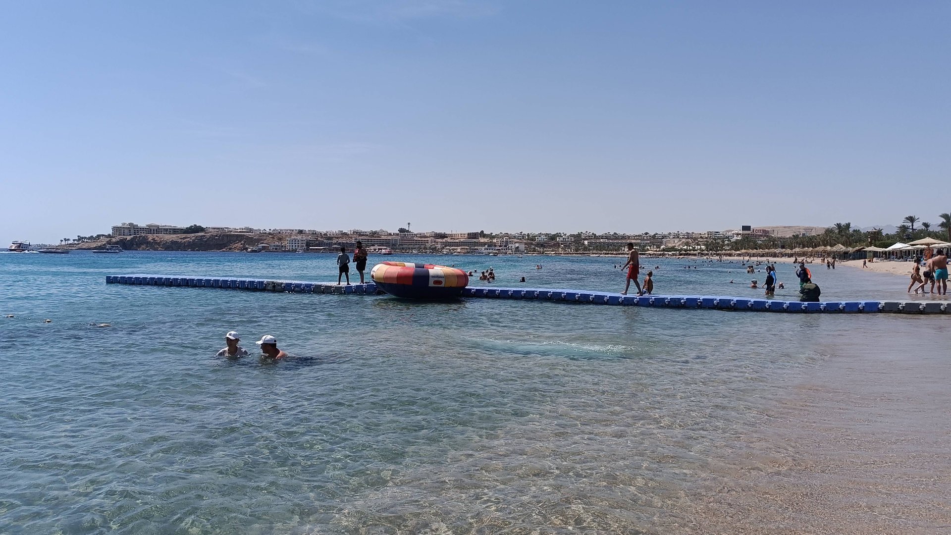 Египет-2023 Снорклинг - 4K на рифе отеля "Novotel" Отель Naama Bay Promenade Resort Цапли на пляже