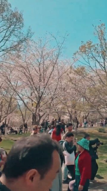 🇨🇳 Beautiful places in China to visit #1 #shorts