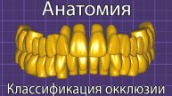 Классификация окклюзии