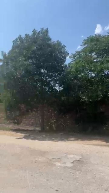 Садовод-20073.mp4