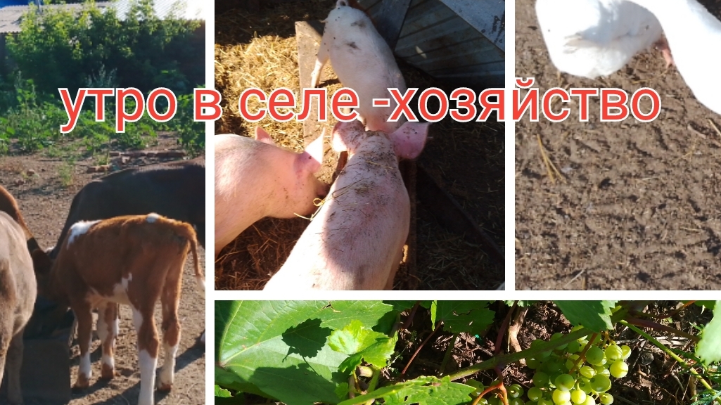 будет за что по материть себя в старости