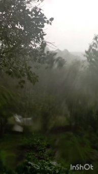 Дождь как из ведра льёт.