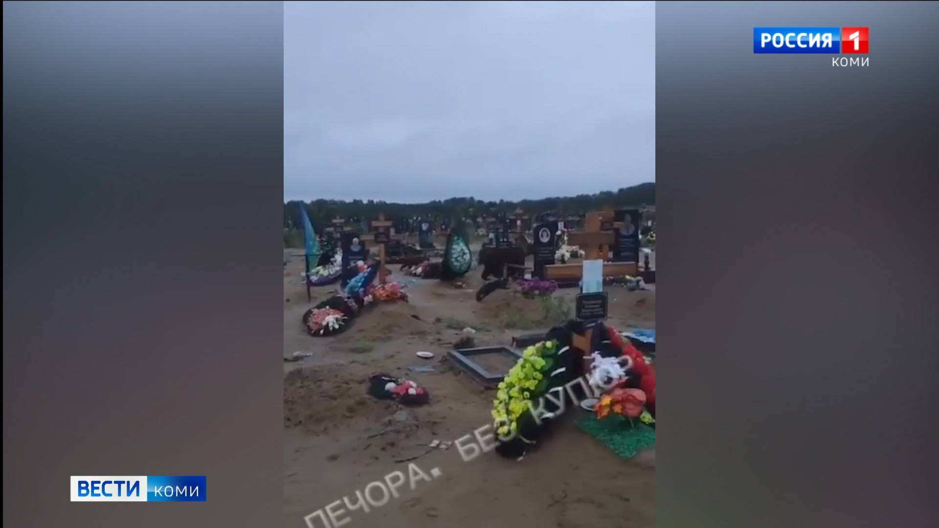 Происшествия в Республике Коми 21.07.2025 г.