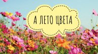 СП "А лето цвета 3" Отчёт 4. Учасник 58