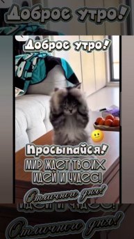 Доброе утро #доброеутро #благодарность