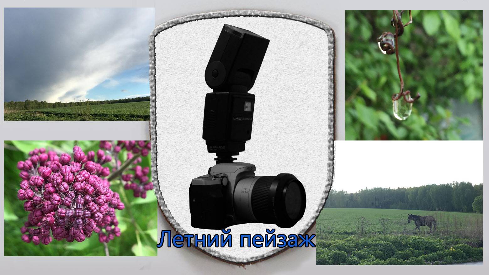 Курс Молодого Фотографа: Летний пейзаж