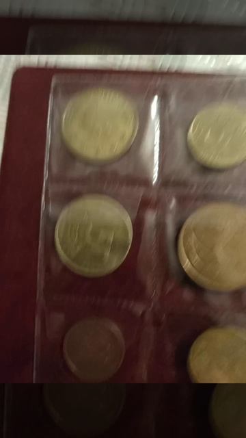 моя коллекция