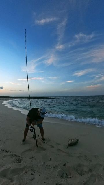 Куба , Lutjanus Cubera