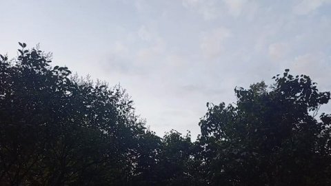 психосоматика как реакция нашего тела на эмоции .