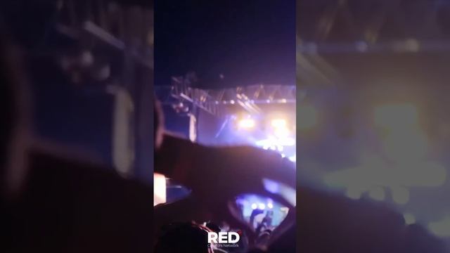 Marx Engels Lenin Stalin (RED Creators Network)