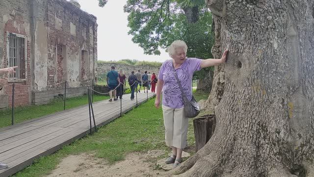 КОПОРЬЕ дерево любви