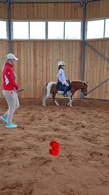 чему может научиться ребенок за 6 занятий верховой езды #кони #верховаяезда #дети #рек