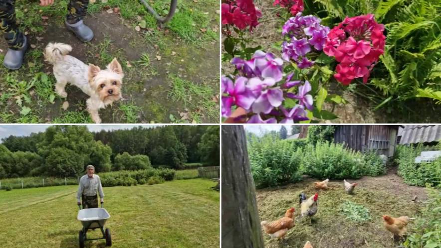 А К НАМ АИСТЫ ЗАЧАСТИЛИ. В МОЕМ САДИКЕ КРАСОТА.