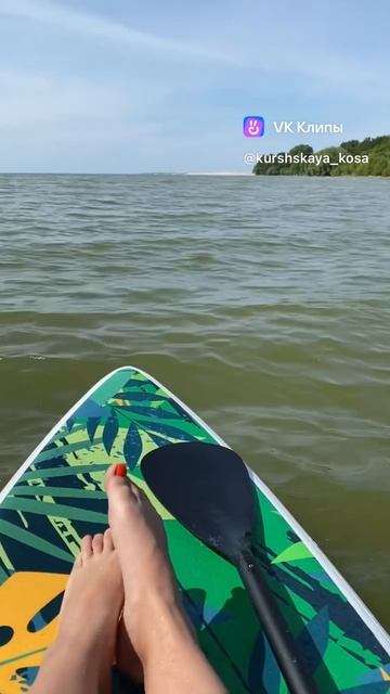 #Куршскаякоса