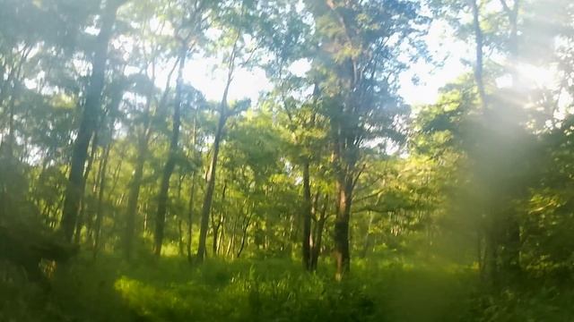 Телевышка 200725