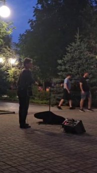 Атмосфера на бульваре Пушкина