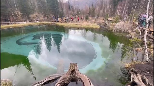 Изумрудное озеро на Алтае (25) — 19