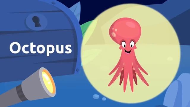 05. Guess the sea animal