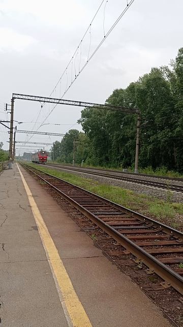 3ЭС6