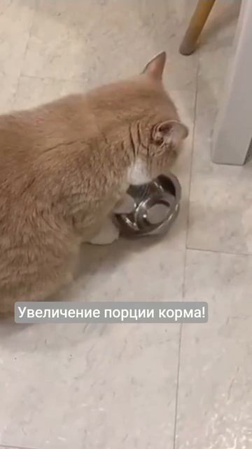 Забастовка!