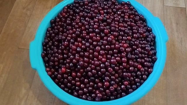 Дождь не дает работать. Вишневый компот. Краски неба на закате