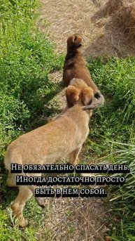 Будни женщины с хозяйством и характером