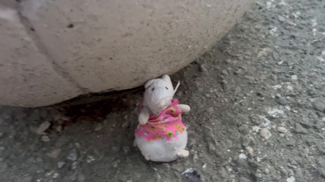 Буша решила поиграть в огромный футбольный мяч