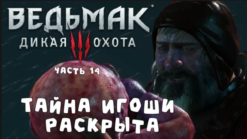 Ведьмак 3: История проклятого младенца Игоши (часть 14)