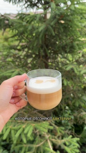 Кофе полезен для зубов