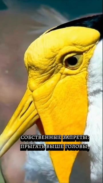 тенденции дня