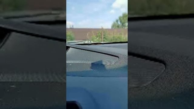 сидим болтаем, отвечаю на вопросы. #психология #философия
