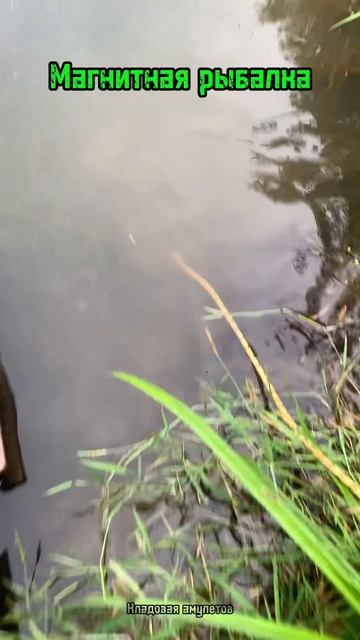 Магнитная рыбалка на пруду