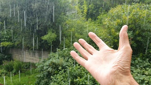 Успел убежать...