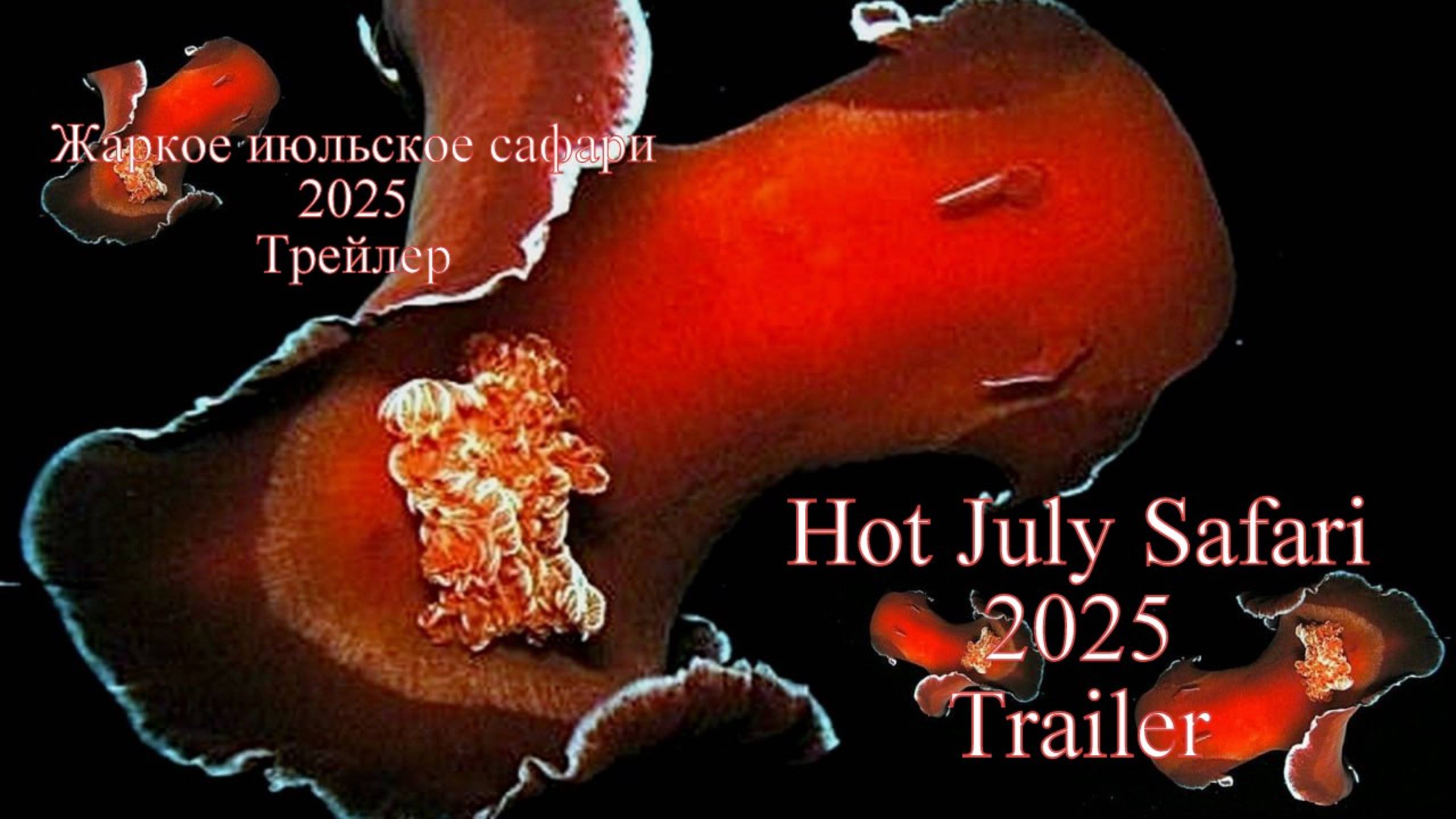 Жаркое июльское сафари 2025. Трейлер