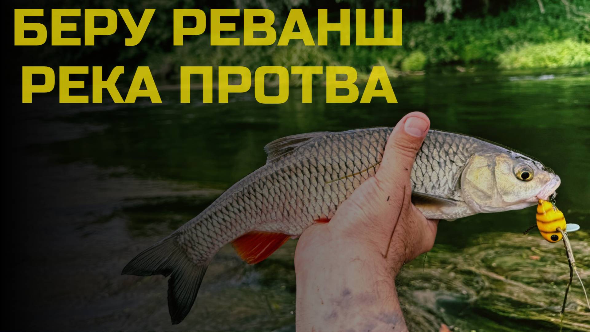 Беру реванш у реки! Протва, Калужская область. День 2.