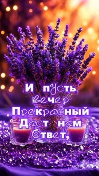 #добрыйвечер