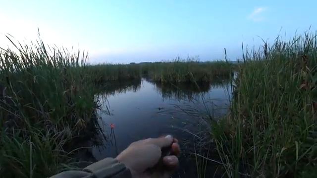 Ловля карася на маховую поплавочную удочку