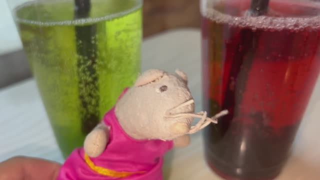 Буша показывает детям огромные Bubble Tea разных вкусов