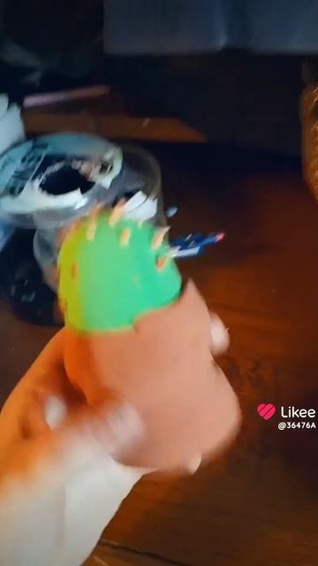 Как вам мой кактус 🌵