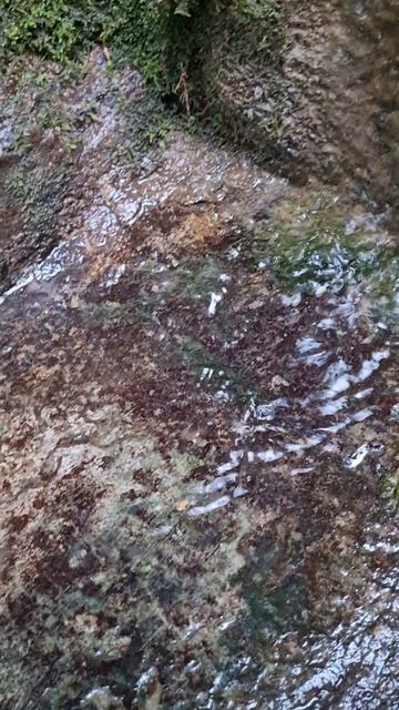 Свято-Троицкий источник.mp4