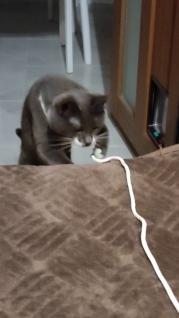 Страшный червяк на диване.