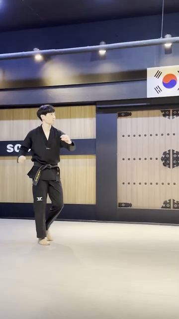 Добок WT Tusah Evo Uniform Male Dan черный