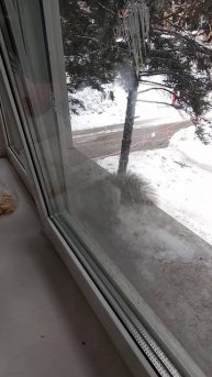 А после полёта надо подкрепиться))