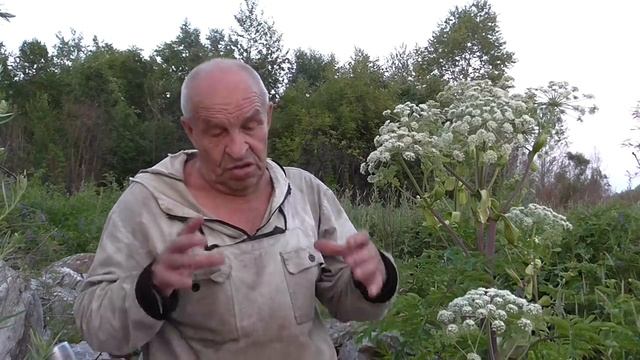 Росомаха ЗВЕРЬ ОЧЕНЬ СЕРЬЁЗНЫЙ