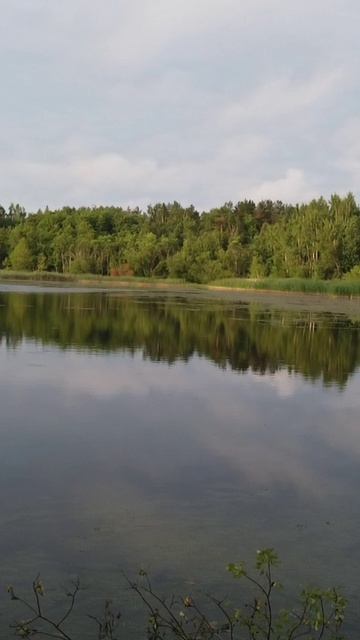 Мысли в слух