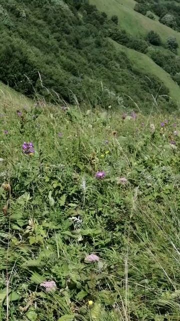 Путешествие по горным районам Дагестана, в горах Табасарана к