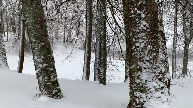 Тригорское — музей-усадьба друзей А. С. Пушкина - помещиков Осиповых-Вульф