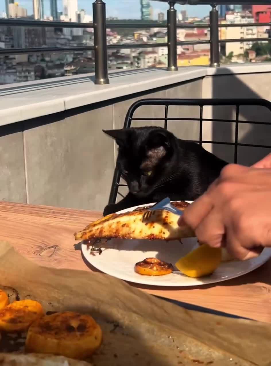 Подпишись 👉 https://vk.com/ykrasheniy_iz_kamny