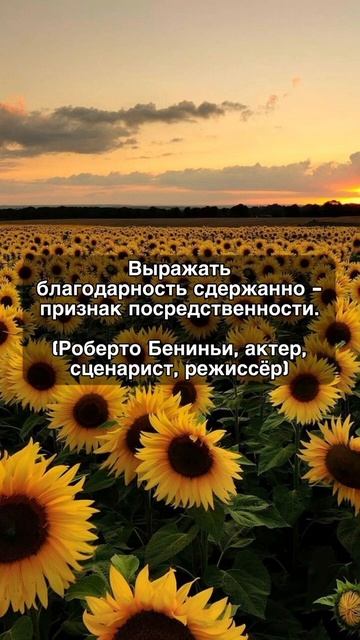 #отношения #психология #изобилие #саморазвитие #осознанность #успех #счастье #motivation