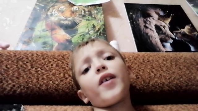 VID_20250723_225441.mp4